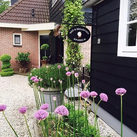 Oud Quadyck Bed & Breakfast *