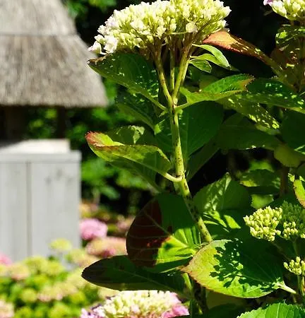 Bed & Breakfast Oud Quadyck Oosthuizen